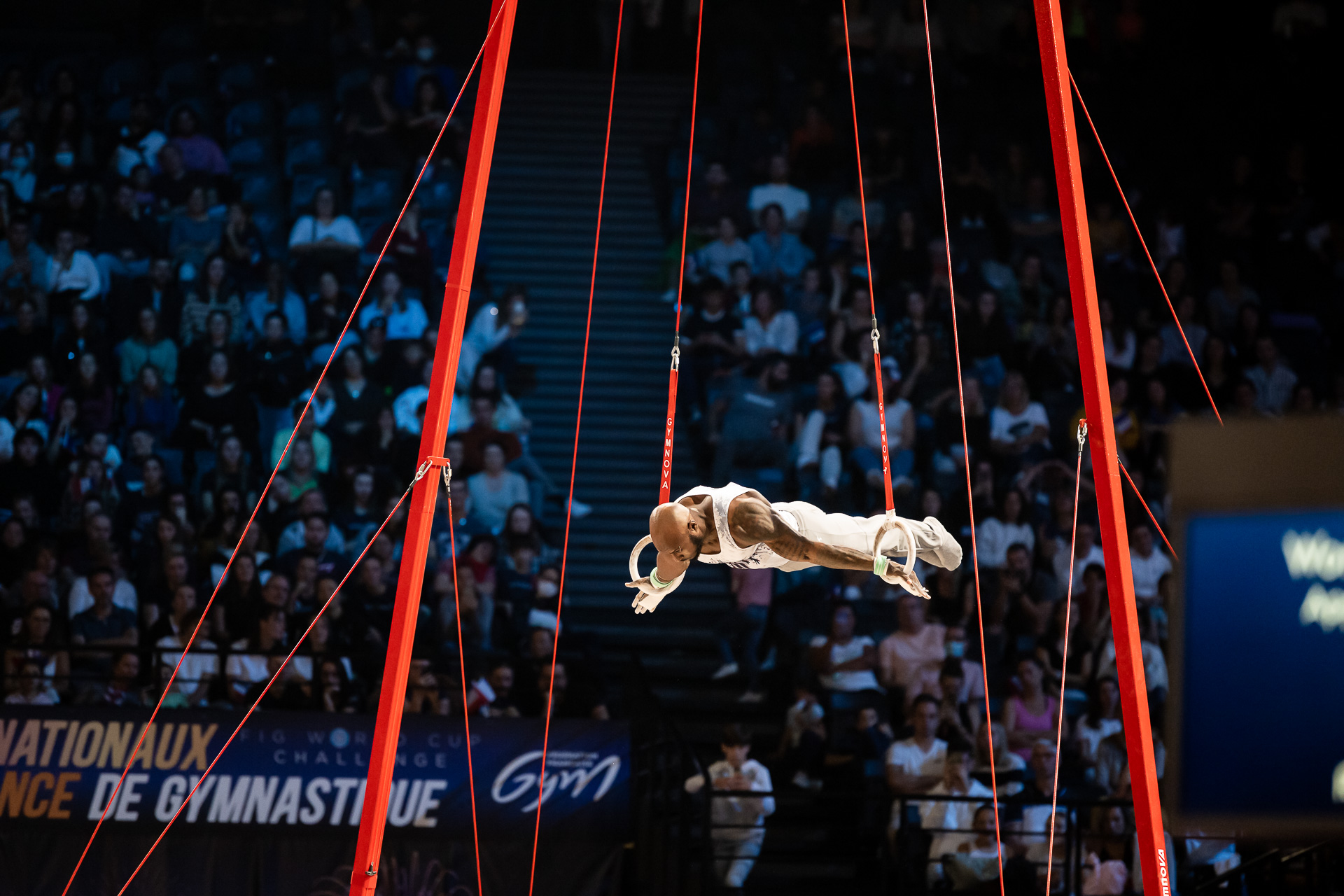 Anneaux de gymnastique