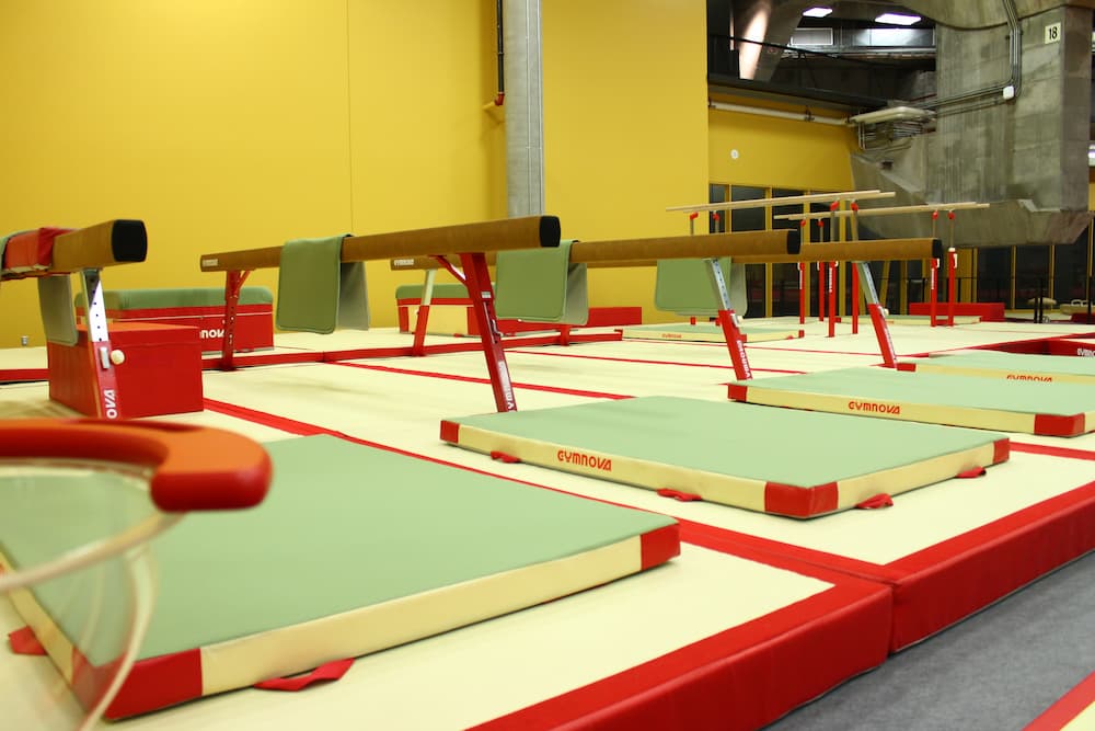 Tapis de gymnastique- équipement de sport