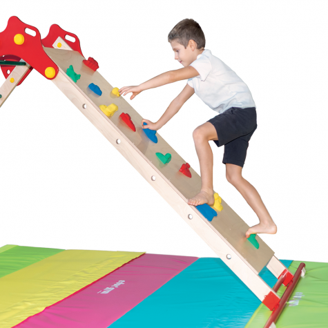 EDUC'GYM CLIMBING WALL - 190 x 55 cm