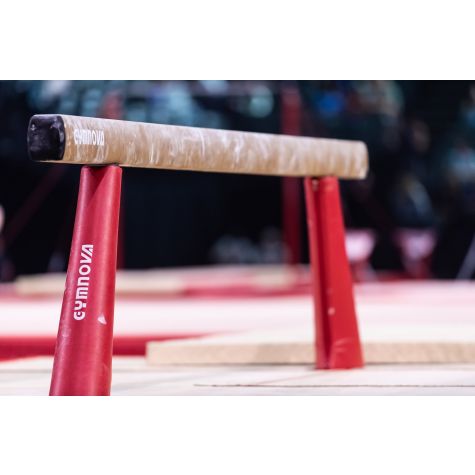 PAIRE DE PROTECTIONS DES MONTANTS DE POUTRES ET TABLES DE SAUT PIEDS STANDARDS (OCCASION)
