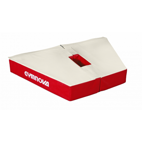 PAIRE DE PROTECTION EMBASE PIED CENTRAL M'12 (OCCASION)