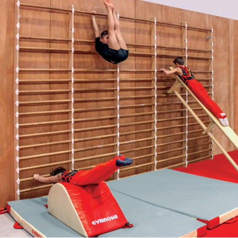 Espalier de gymnastique HomeGym