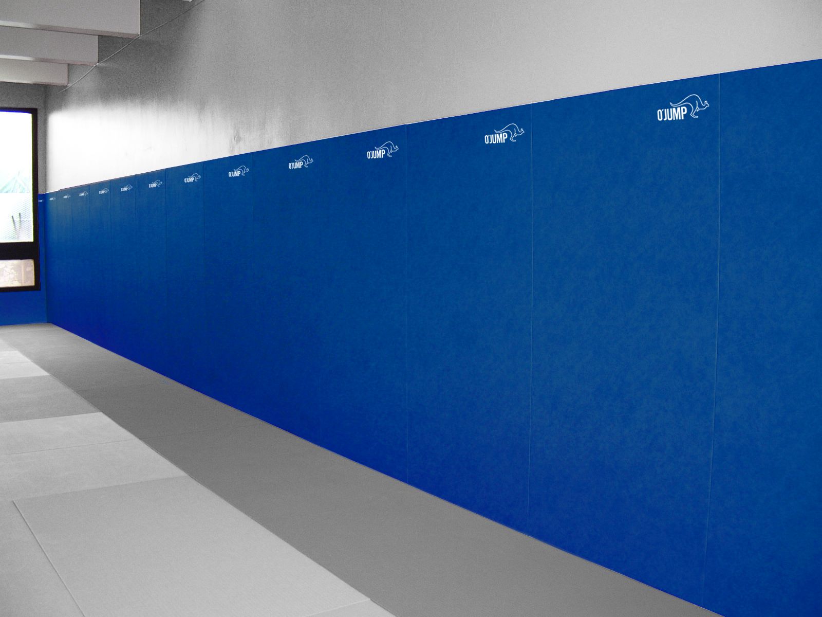 FIXED WALL PROTECTION - 200 x 100 x 2.5 cm
