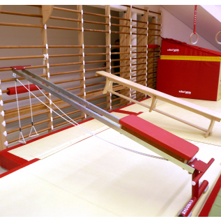 MUSCLE-TRAINING BENCH FOR USE ON WALL BARS