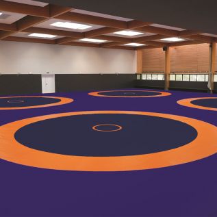 TAPIS LUTTE DE COMPÉTITION - 800 x 800 x 6 cm