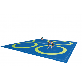 LONA REVERSIBLE PARA COLCHONETA DE ENTRENAMIENTO DE LUCHA - REF. 562 & 563 - 1200 x 1200 cm