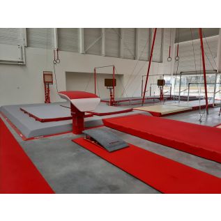 PISTA DE IMPULSO PARA ENTRENAMIENTO - 25 x 0,66 m - Espesor: 17 mm