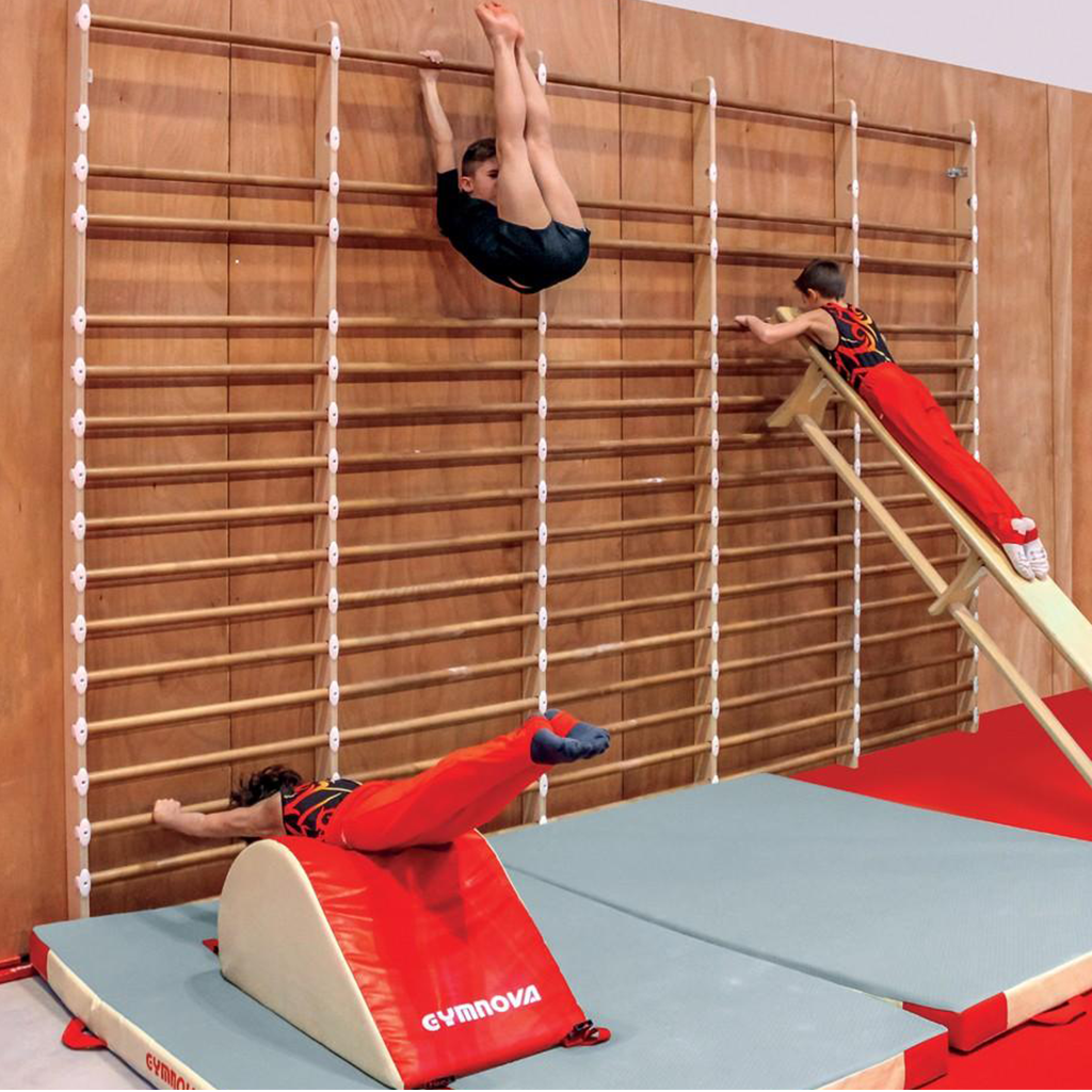 Gymnastics Bar With Solid Wood